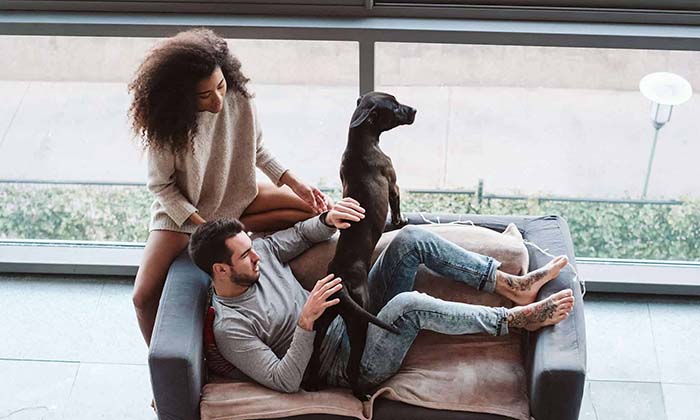 Modern veterinary care with a human touch Man and woman with their dog
