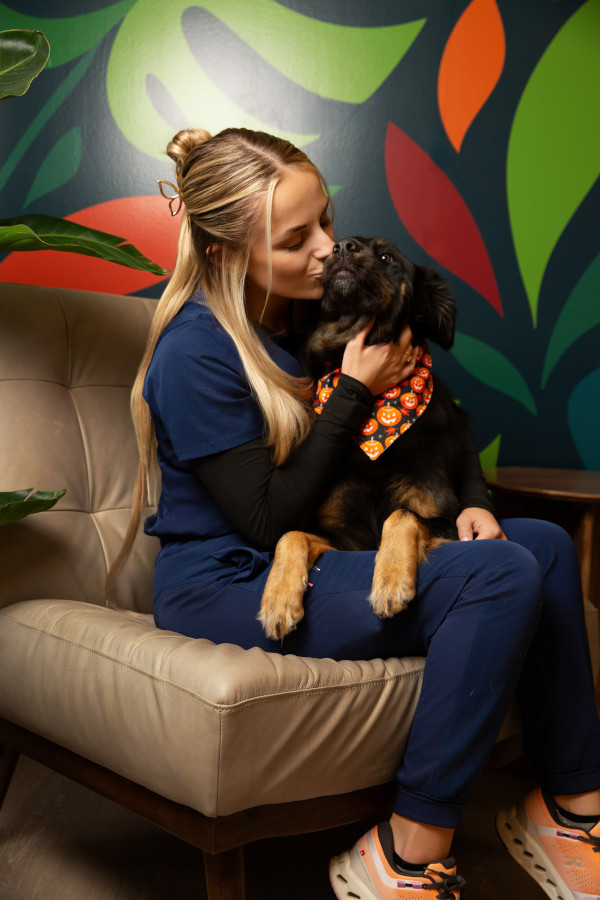 Ava Nessell, Veterinary Technician, Fear-Free Certified, Level - Elite Ava Nessell, Veterinary Technician, Fear-Free Certified, Level - Elite